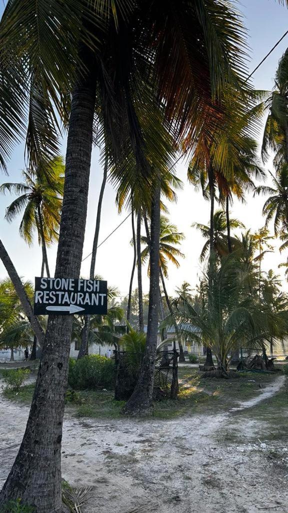 Stonefish Inn Jambiani Jambiani  Kültér fotó