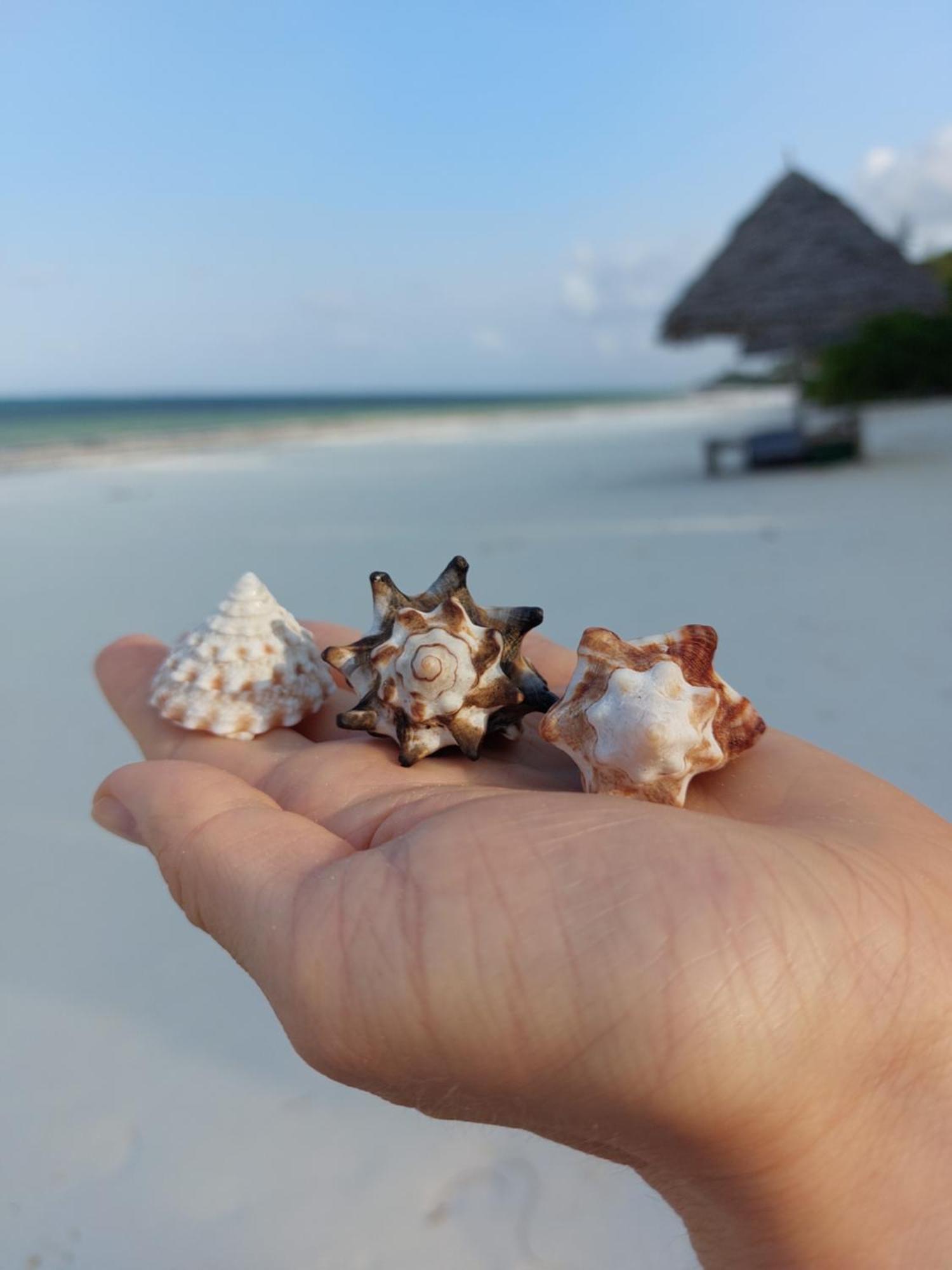 Stonefish Inn Jambiani Jambiani  Kültér fotó